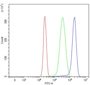 Niemann Pick C1 Antibody / NPC1