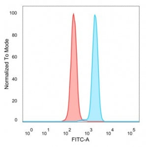 ZNF232 Antibody / Zinc finger protein 232
