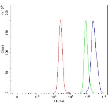 PSMD7 Antibody / 26S proteasome non-ATPase regulatory subunit 7