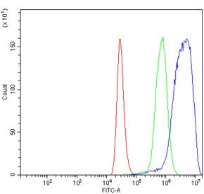 SNIP1 Antibody / Smad Nuclear-Interacting Protein 1