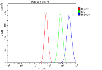Flow Cytometry analysis of cells using anti-HIBADH antibody. Overlay histogram showing cells stained