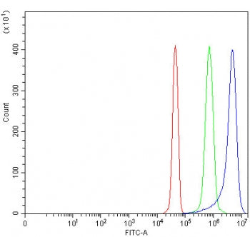 Flow cytometry testing of fixed and permeabilized human JK cells with NAAA antibody at 1ug/million c