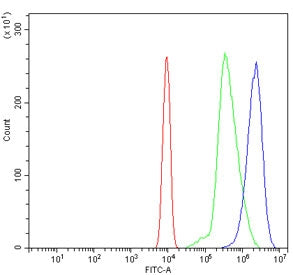 Gbp4 Antibody / Guanylate-binding protein 4
