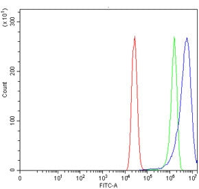 Flow cytometry testing of human MCF7 cells with DCT antibody at 1ug/million cells (blocked with goat