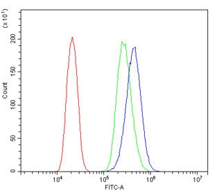 Flow cytometry testing of human PC-3 cells with YWHAZ antibody at 1ug/million cells (blocked with go