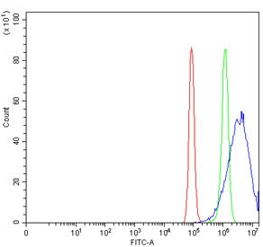 VPS36 Antibody / Eap45
