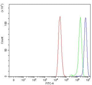 P Glycoprotein Antibody / MDR1 / ABCB1