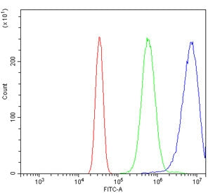 Flow cytometry testing of human Neuro-2a cells with Oat3 antibody at 1ug/million cells (blocked with