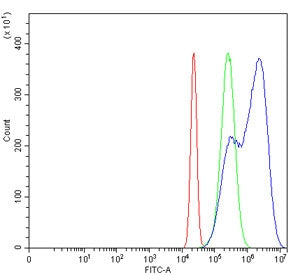 Flow cytometry testing of human HeLa cells with Mutated in Colorectal Cancers antibody at 1ug/millio