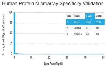 VISTA Antibody / GI24