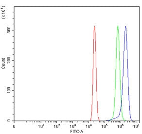 VPS51 Antibody / Vacuolar protein sorting-associated protein 51 homolog / FFR