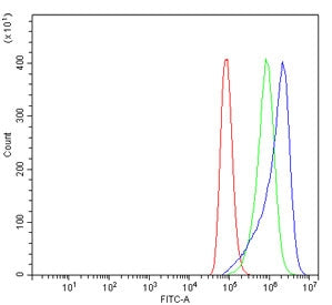 Flow cytometry testing of human A549 cells with CAPN1 antibody at 1ug/million cells (blocked with go