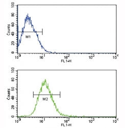 Flow cytometric analysis of CEM cells using TLR2 antibody (bottom histogram) compared to a negative 