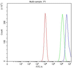 Flow cytometry testing of fixed and permeabilized human PC-3 cells with SIM2 antibody at 1ug/million