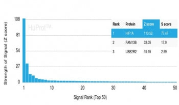 Analysis of a HuProt(TM) microarray containing more than 19,000 full-length human proteins using HIF