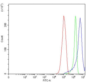 HCLS1 Antibody / Hematopoietic lineage cell-specific protein
