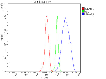 Flow Cytometry analysis of THP-1 cells using anti-SMAP2 antibody. Overlay histogram showing THP-1 ce