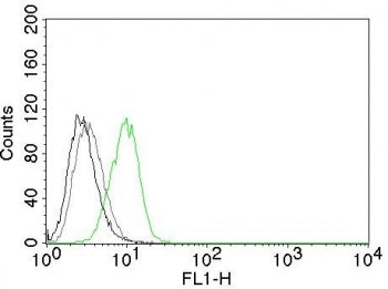 Intracellular FACS testing of human HeLa cells with p27Kip1 antibody (green), isotype control (gray)