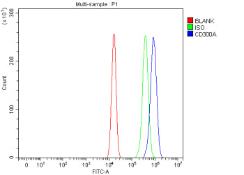 Flow Cytometry analysis of U20S cells using anti-CD300A antibody. Overlay histogram showing U20S cel