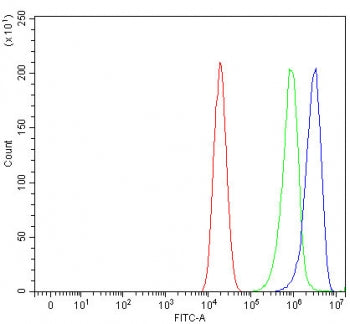 PSMB7 Antibody / Proteasome 20S beta 7