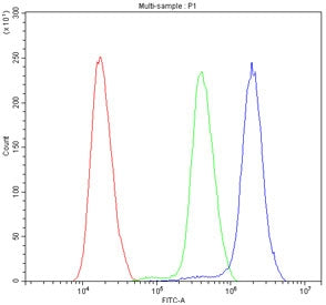Flow cytometry testing of human SiHa cells with ATF1 antibody at 1ug/million cells (blocked with goa