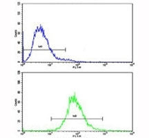 Flow cytometric analysis of CEM cells using CD36 antibody (bottom histogram) compared to a negative 