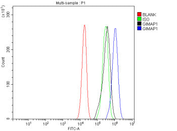 Flow Cytometry analysis of human JK cells using anti-GIMAP1 antibody. Overlay histogram showing JK c