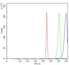 Flow cytometry testing of human HeLa cells with hHR23A antibody at 1ug/million cells (blocked with g