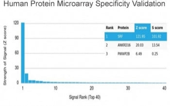Analysis of HuProt(TM) microarray containing more than 19,000 full-length human proteins using SRF a