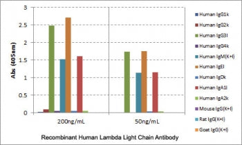 ELISA of human immunoglobulins shows the recombinant Human Lambda Light Chain antibody reacts to the