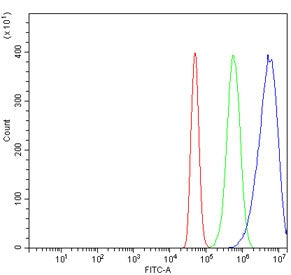 ZNF318 Antibody