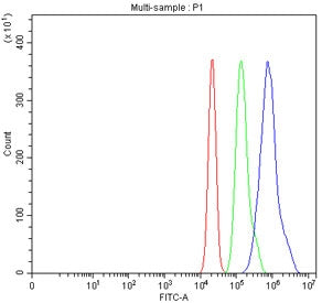 Flow cytometry testing of fixed and permeabilized human RT4 cells with FOXA1 antibody at 1ug/million