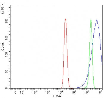 Flow cytometry testing of fixed and permeabilized human MCF7 cells with PREX1 antibody at 1ug/millio