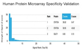Analysis of HuProt(TM) microarray containing more than 19,000 full-length human proteins using STAT5