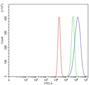Flow cytometry testing of human ThP-1 cells with TGR5 antibody at 1ug/million cells (blocked with go