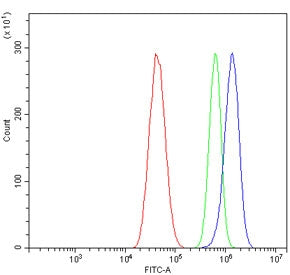 Flow cytometry testing of human U-87 MG cells with RAPGEF3 antibody at 1ug/million cells (blocked wi