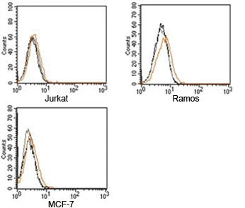 FACS testing of Rabbit IgG isotype control antibody on human samples. Black=cells alone, gray=cells 