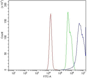 CXCR4 Antibody