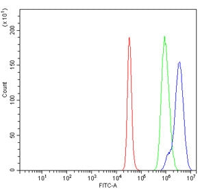 LIG3 Antibody / DNA Ligase 3