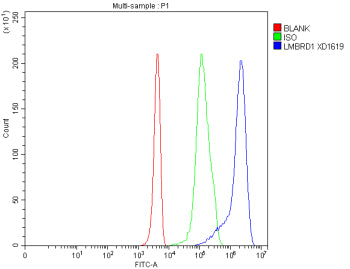 Flow Cytometry analysis of 293T cells using anti-LMBRD1 antibody. Overlay histogram showing 293T cel