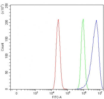 PPP1R9A Antibody / Neurabin 1