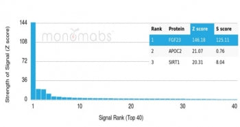 Analysis of a HuProt(TM) microarray containing more than 19,000 full-length human proteins using FGF