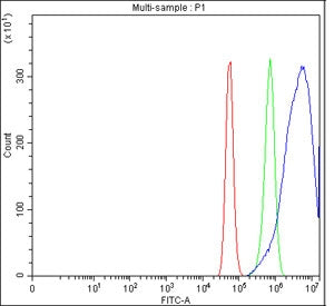 Flow cytometry testing of fixed and permeabilized human U-87 MG cells with NUMBL antibody at 1ug/mil