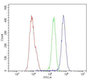 NOTCH2 Antibody