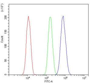 Flow cytometry testing of human A431 cells with RGMB antibody at 1ug/million cells (blocked with goa