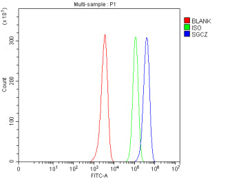 Flow Cytometry analysis of HEL cells using anti-SGCZ antibody. Overlay histogram showing HEL cells s