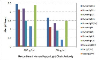 ELISA of human immunoglobulins shows the recombinant Human Kappa Light Chain antibody reacts to the 