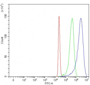 Flow cytometry testing of fixed and permeabilized human 293T cells with Alpha SNAP antibody at 1ug/m