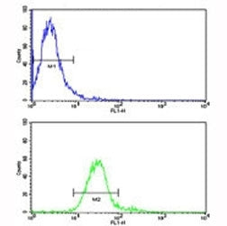Flow cytometric analysis of NCI-H460 cells using ROR1 antibody (bottom histogram) compared to a nega