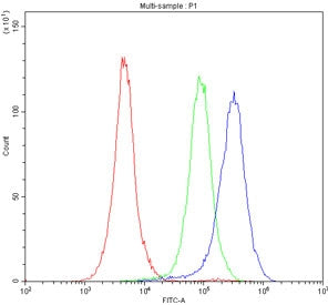 Flow cytometry testing of fixed and permeabilized mouse RAW264.7 cells with P-Selectin antibody at 1
